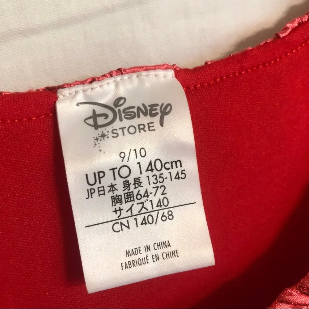 Disney Little Girl Costume.